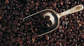 李宁回应注册“NING COFFEE”：一次创新尝试，计划在店内提供咖啡服务
