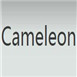 cameleon化妆品加盟
